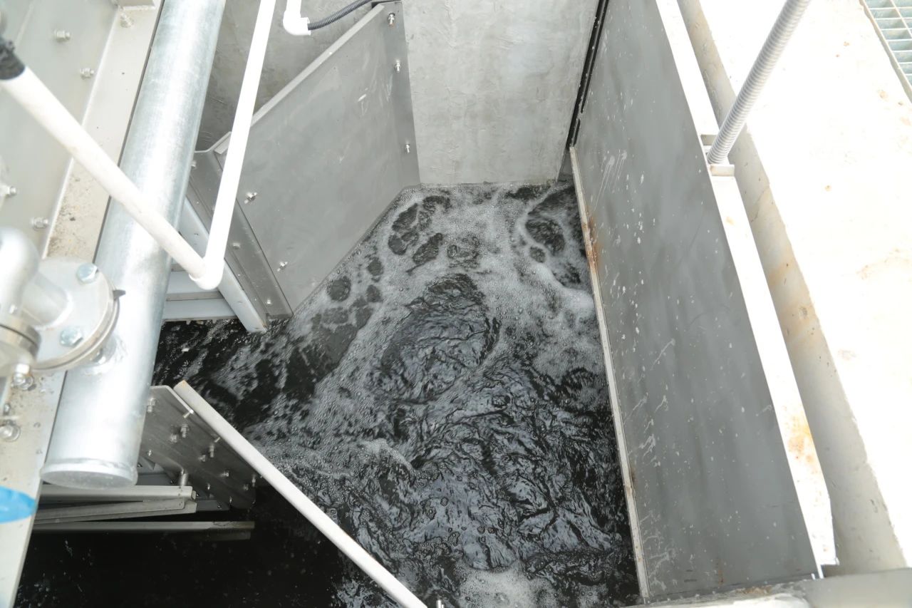 1694997968772117.jpg 1694997968772117.jpg